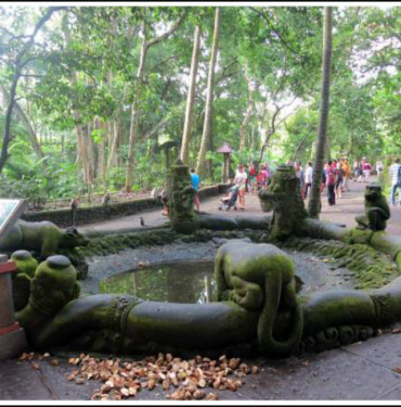 23-fun-and-unusual-things-to-do-in-ubud-no.-2-is-my-favourite