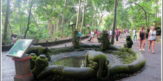 23 Fun and Unusual Things to do In Ubud. No. 2 is my Favourite