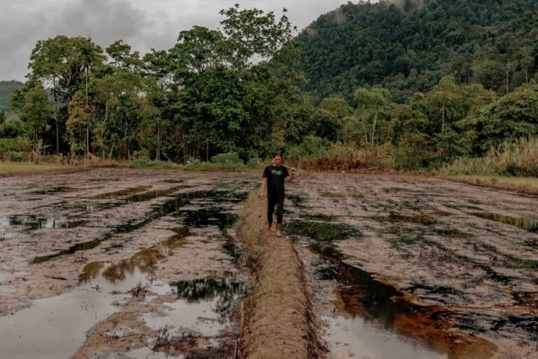 nestapa-petani-luwu-timur-terdampak-kebocoran-minyak-pt-vale