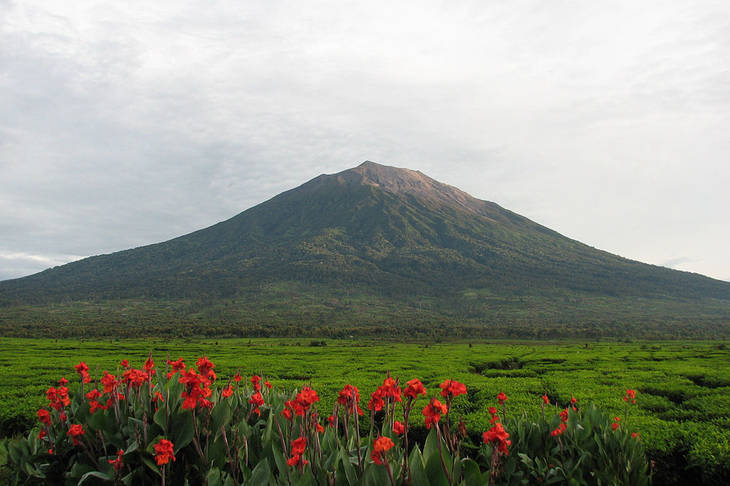 inilah-10-gunung-tertinggi-di-sumatra,-nomor-1-masuk-seven-summits-indonesia!