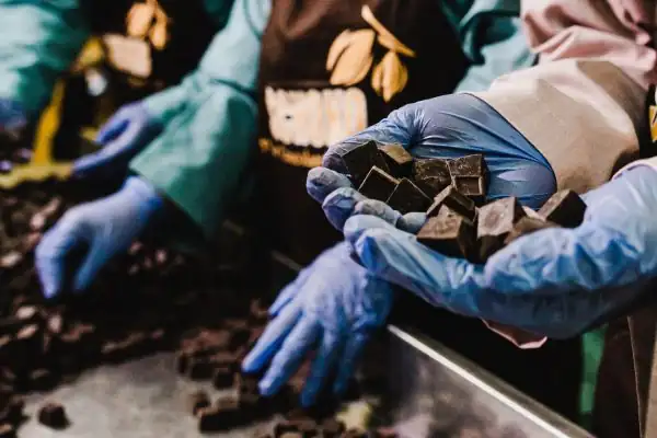 saham-coco:-tong-kosong-nyaring-bunyinya?