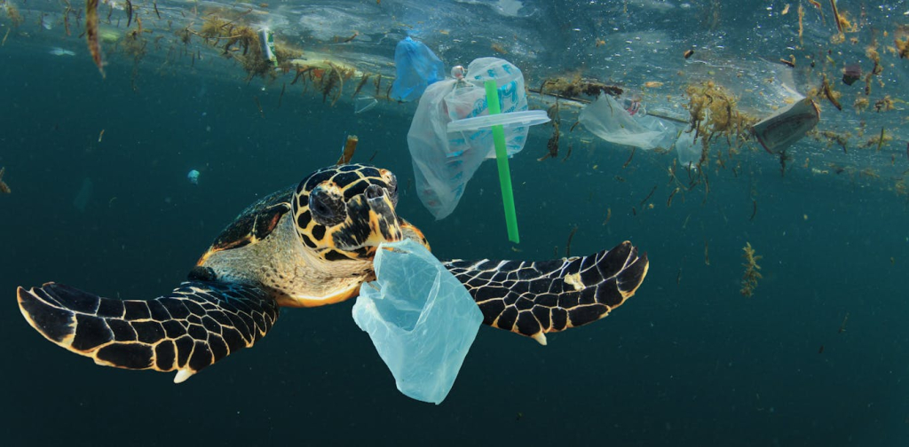 mengapa-target-70%-pengurangan-sampah-plastik-laut-pada-2025-sulit-tercapai?
