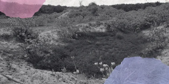 Harapan Kembali, Ketika Tambang Pergi