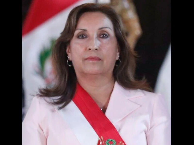 dina-boluarte,-presiden-peru-yang-pernah-ke-indonesia-dimakzulkan-parlemen