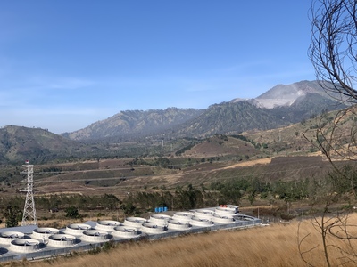 harum-kopi-ijen-yang-terkubur-janji-kemitraan-keadilan-energi