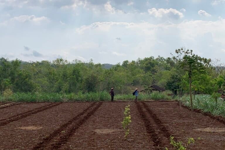 riset-ungkap-kerugian-ekonomi-semen-wonogiri