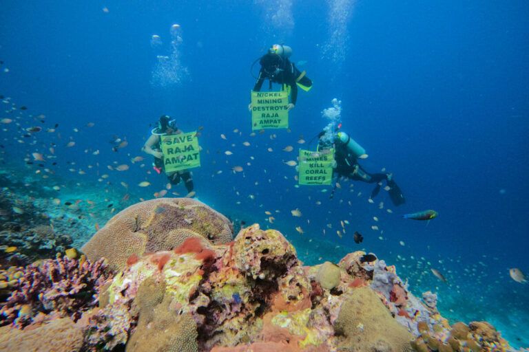 tambang-nikel-di-raja-ampat-rusak-pesisir-dan-terumbu-karang