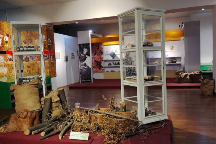 museum-nasional-sejarah-indonesia,-gerbang-mengenal-kekayaan-alam-nusantara