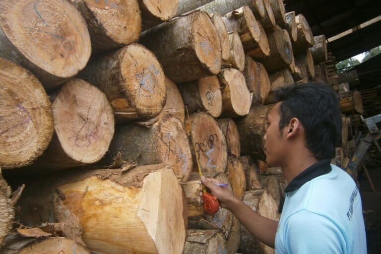 revisi-uu-kehutanan:- mengabaikan-pemantau-independen-sama-dengan-menggadaikan-hutan