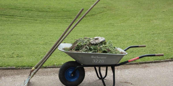 Tips Berkebun di Rumah untuk Pemula