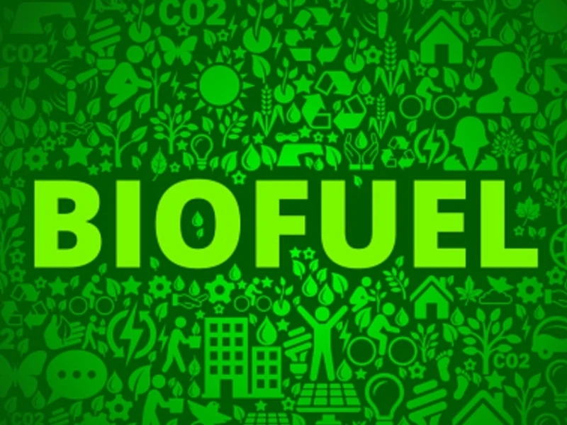 organisasi-lingkungan-desak-imo-tak-jadikan-biofuel-pengganti-fosil-dalam-skema-net-zero