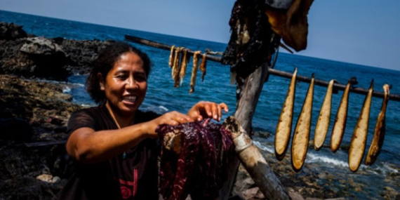 Di Balik Tradisi Perburuan Paus Di NTT, Ada Ibuisme Laut Dan Kesenjangan Gender