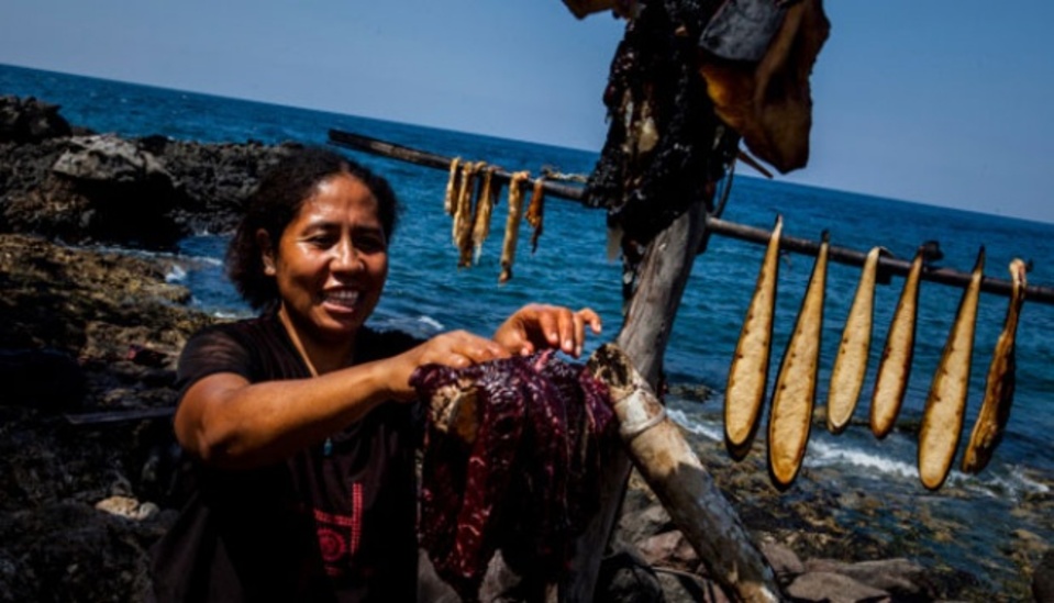 di-balik-tradisi-perburuan-paus-di-ntt,-ada-ibuisme-laut-dan-kesenjangan-gender