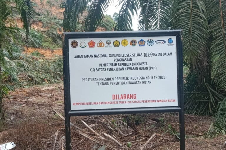 penertiban-kebun-sawit-dalam-kawasan-hutan-jangan-abai-petani