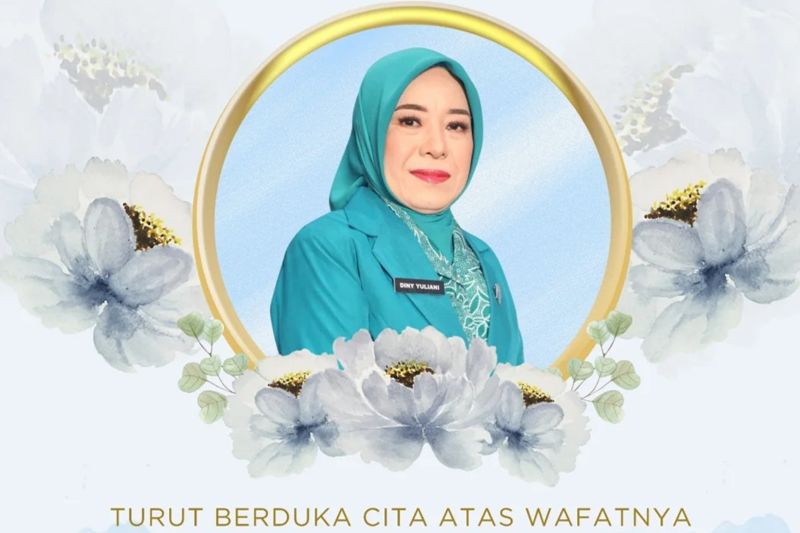 profil-dini-yuliani,-sosok-pendamping-setia-bupati-purwakarta-om-zein