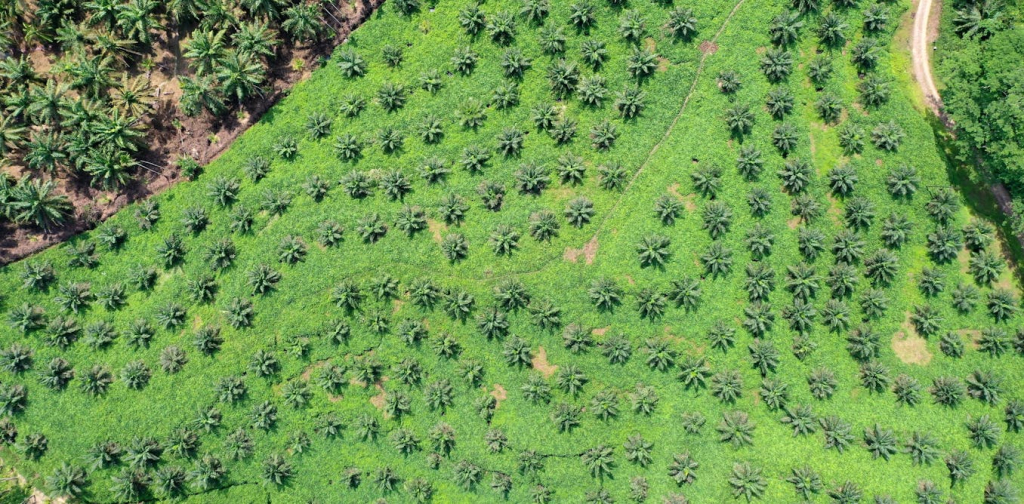 alam-tidak-salah,-biang-keladi-banjir-sumatra-sebenarnya-adalah-pemburu-rente-dan-oligarki