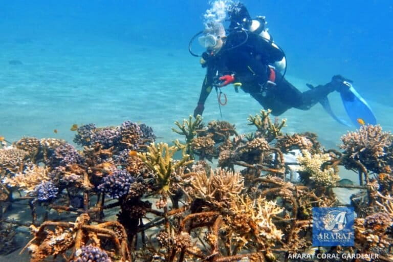 akhirnya-peta-karang-dan-lamun-selesai,-selanjutnya?