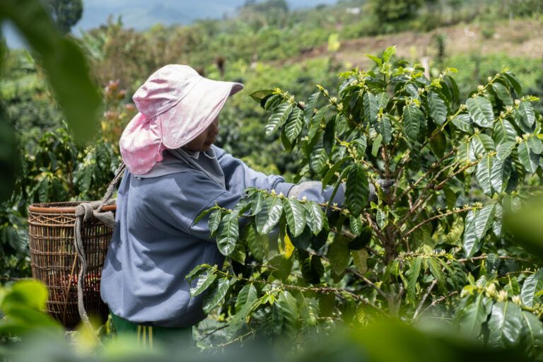 perlu-pemetaan-dan-pelibatan-masyarakat-hindari-salah-kaprah-atasi-krisis-iklim