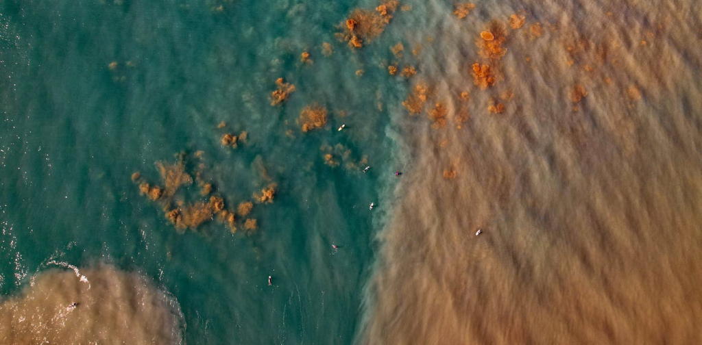 new-study-sheds-light-on-the-threat-of-‘marine-darkwaves’-to-ocean-life