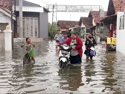 tanah-di-pesisir-jawa-tengah-kian-sulit-serap-air-tawar,-walhi:-krisis-ekologi-makin-nyata