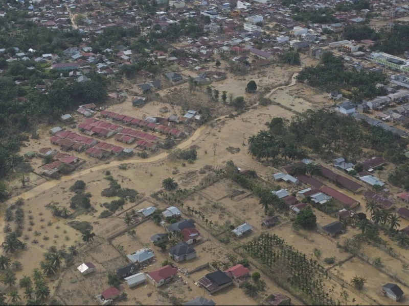 apa-yang-terjadi-setelah-prabowo-cabut-izin-28-perusahaan-pelanggar-pemanfaatan-kawasan-hutan