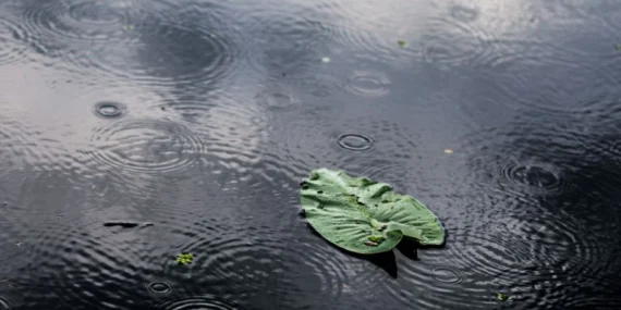 bmkg-rilis-prakiraan-cuaca-20–26-januari-2026,-sejumlah-wilayah-berpotensi-diguyur-hujan-lebat