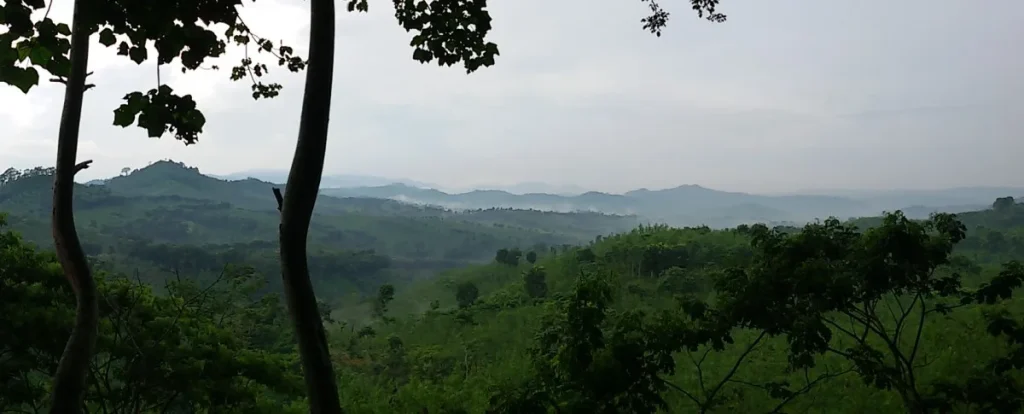 gunung-gumitir,-kecantikan-misterius-di-perbatasan-jawa-timur