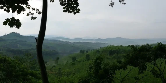 Gunung Gumitir, Kecantikan Misterius di Perbatasan Jawa Timur
