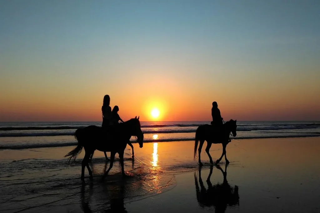 pantai-ratenggaro,-surga-tersembunyi-di-sumba-barat-daya