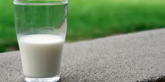 6 Manfaat Susu Kuda Liar untuk Kesehatan, Mau Coba?