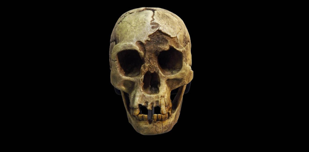 menghilang-50.000-tahun-lalu,-riset-ungkap-apa-yang-terjadi-pada-habitat-para-‘hobbit’-flores