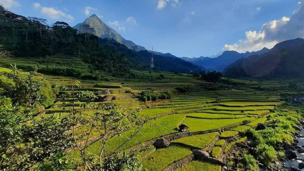 desa-wisata-tempur,-rekreasi-alam-di-lereng-gunung-muria-jepara