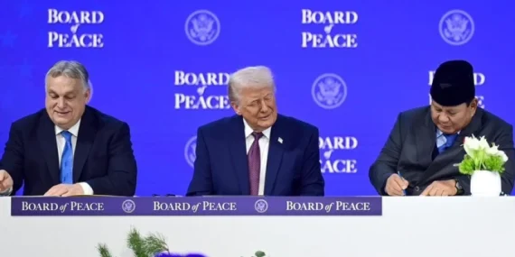 board-of-peace-dan-kesalahan-strategis-indonesia