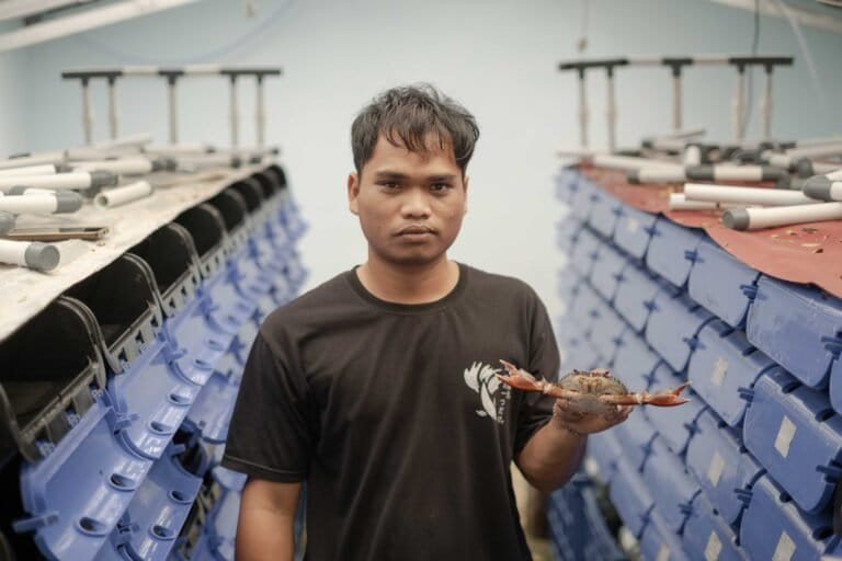 upaya-lestarikan-kepiting-bakau-di-pesisir-timur-pulau-bangka