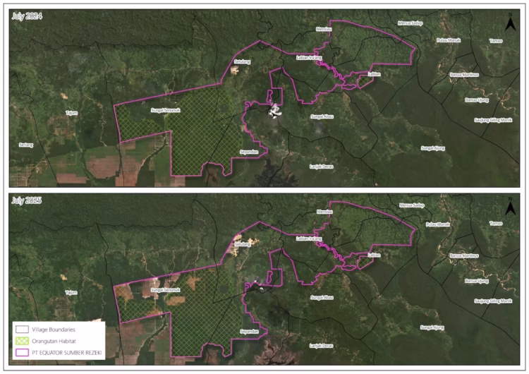 deru-mesin-merobek-jantung-konservasi-kapuas-hulu