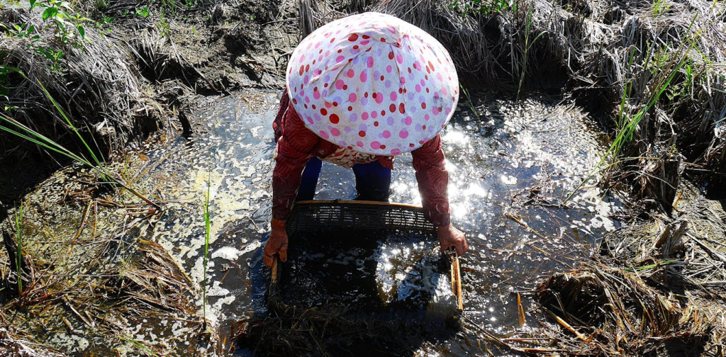 ancaman-cacingan-strongyloidiasis-di-kalimantan-selatan:-kebiasaan-warga-bisa-picu-penyakit