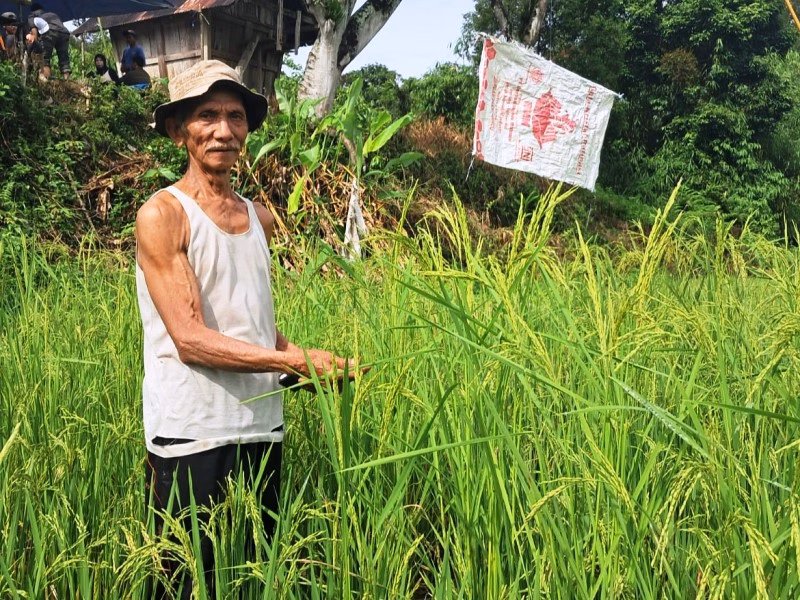perlawanan-sunyi-di-jantung-hutan-bengkulu