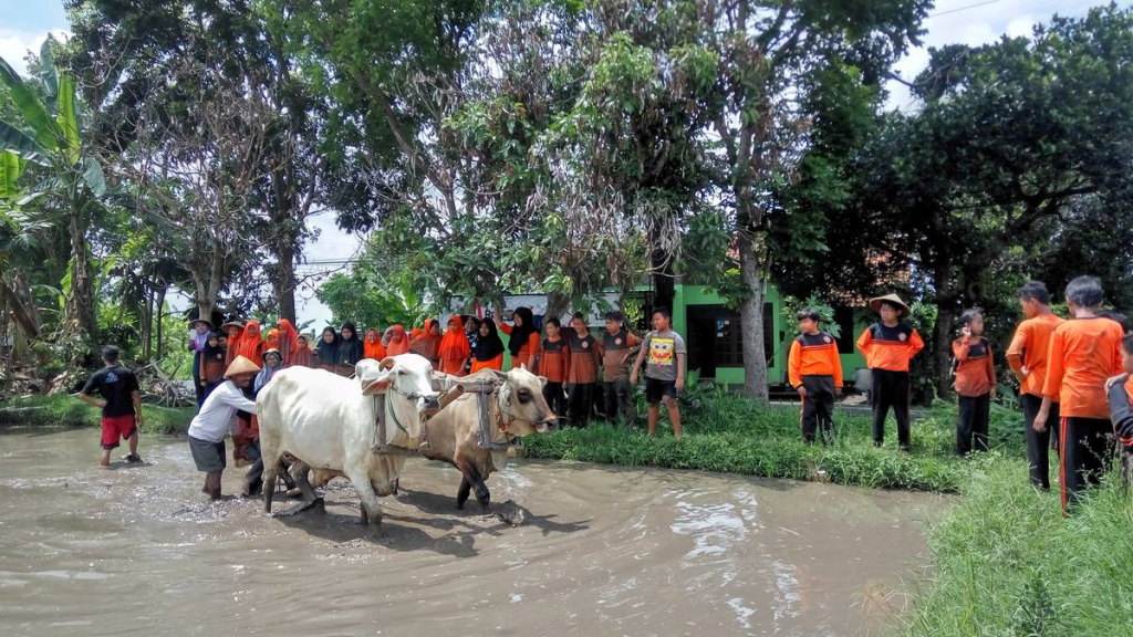 desa-wisata-brayut,-merasakan-pengalaman-budaya-dan-bertani-di-yogyakarta