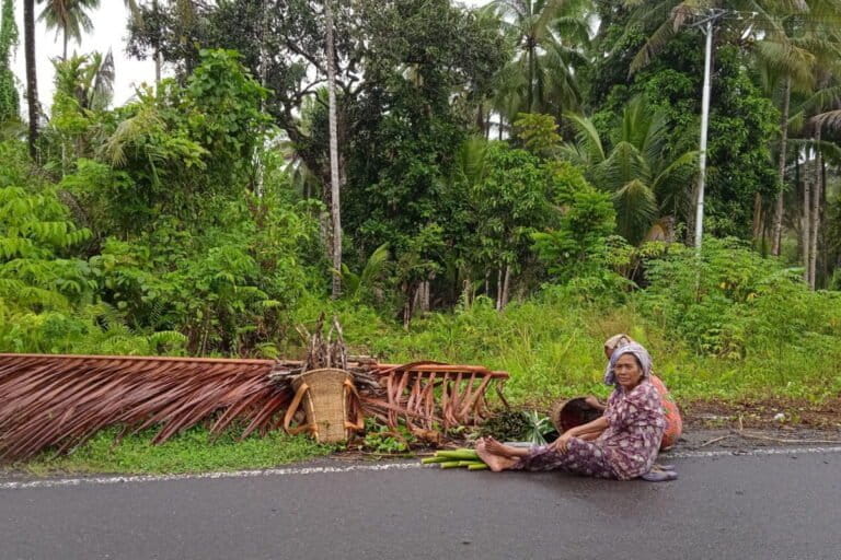 orang-sawai-dalam,-penjaga-hutan-halmahera-dari-jerat-industri-nikel