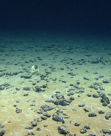 submarine-mountains-and-long-distance-waves-stir-the-deepest-parts-of-the-ocean