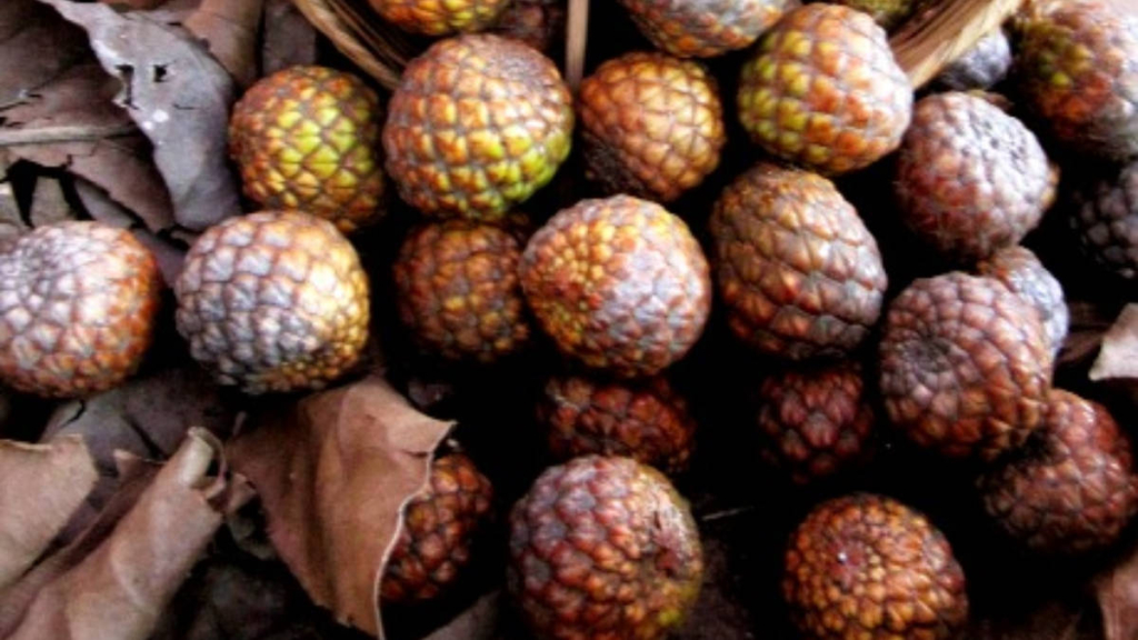 asinan-rumbia,-kuliner-khas-aceh-yang-memanfaatkan-hasil-alam-dan-mulai-jarang-dijumpai