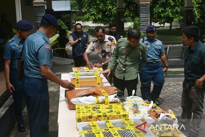 petugas-gagalkan-penyelundupan-445-kulit-ular-piton-di-bakauheni