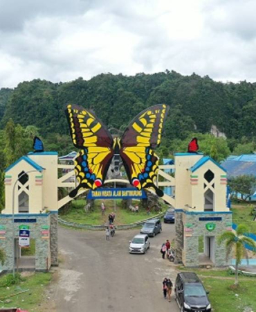 kabar-baik!-jumlah-spesies-kupu-kupu-di-bantimurung-naik-114-persen