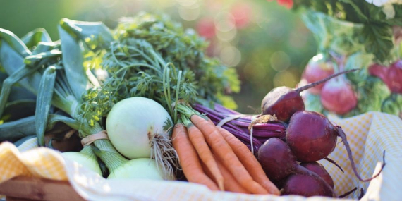 Tips Memilih Sayuran Segar di Pasar