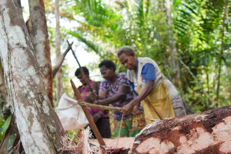 cerita-para-perempuan-pegiat-pangan-dan-penggerak-energi-terbarukan