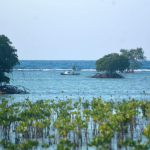 ketika-pengadilan-swiss-terima-gugatan-iklim-nelayan-pulau-pari