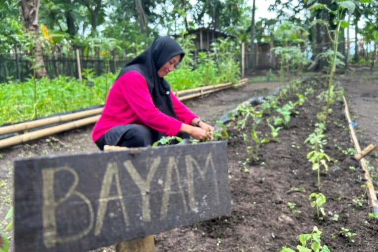 para-perempuan-di-sulawesi-selatan,-upaya-berdaulat-pangan-lewat-permakultur