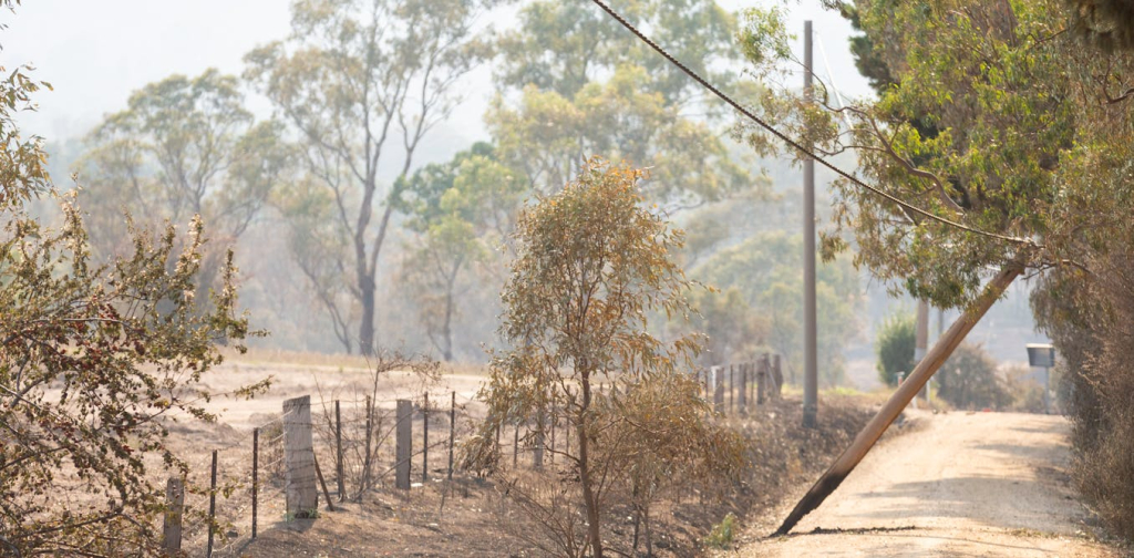 no-power,-no-phone,-no-radio:-why-comms-dropped-out-during-the-central-victorian-fires