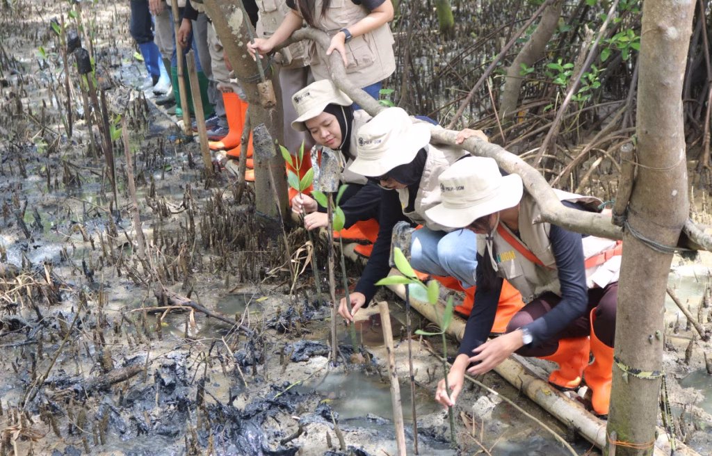 rehabilitasi-mangrove-di-patikang-perkuat-ekosistem-laut-pesisir-banten