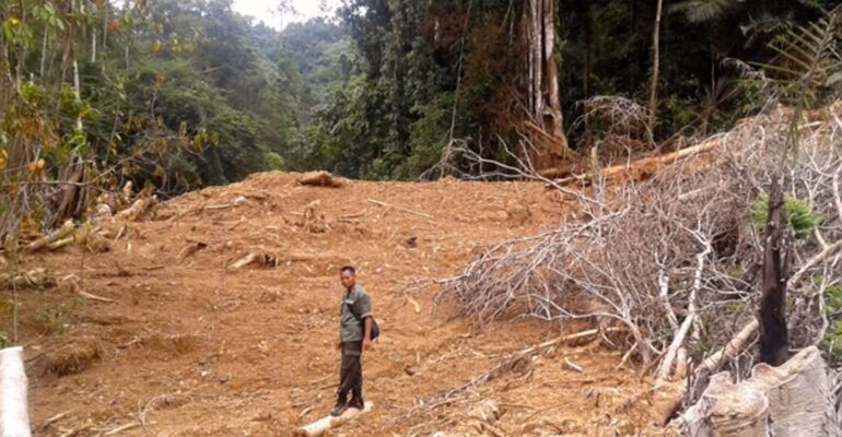 bencana-sumatera-ulah-aktivitas-ilegal,-sains-iklim-harus-dimanfaatkan-maksimal